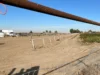 Граждане США и законные жители подали в суд из-за агрессивного рейда по иммиграции на ипподроме в Айдахо